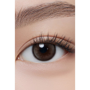 Hapa Kristin 1Day — Dolly Kristin巧克棕 日抛 10片裝